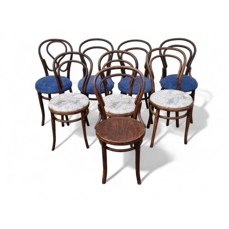 8 Vintage Bentwood Chairs | FurniCape