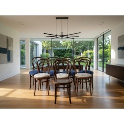 8 Vintage Bentwood Chairs | FurniCape
