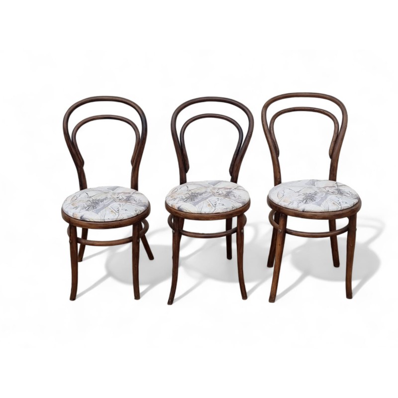 3 Vintage Bentwood Chairs | FurniCape