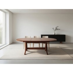 Mid-Century 6–8 Seater Extendable Dining Table by EE Meyer for Binnehuis – FurniCape