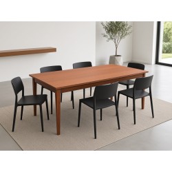 Mid-Century Dining Table